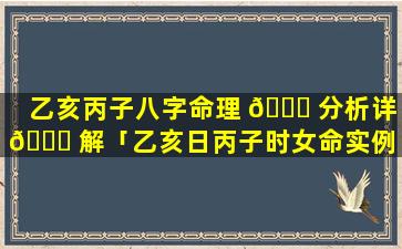 乙亥丙子八字命理 💐 分析详 🍁 解「乙亥日丙子时女命实例」